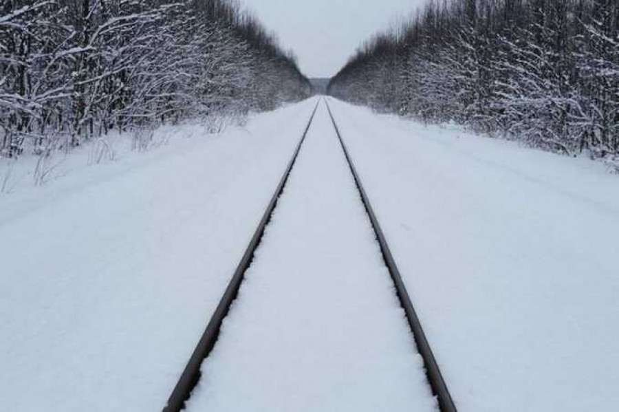 В Тульской области из-за снегопада было приостановлено движение поездов