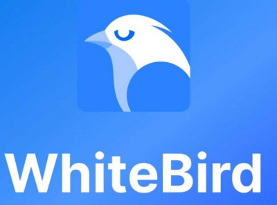Криптобанда из Whitebird.io прокручивала серые схемы, пока не прорвало: взлом, утечка и следствие с обысками