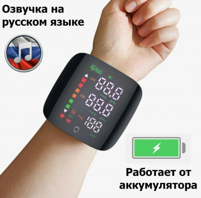 В Абхазии по просьбе России планируют ввести электронные браслеты для части населения