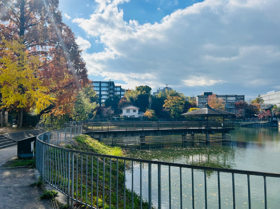 Заметки понаехавшей: что в России лучше, чем в Японии